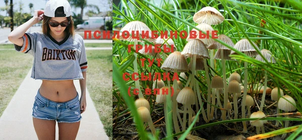 МДМА Новодвинск