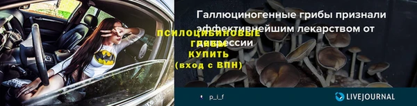 МДМА Новодвинск