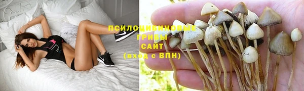 прущая мука Новокубанск