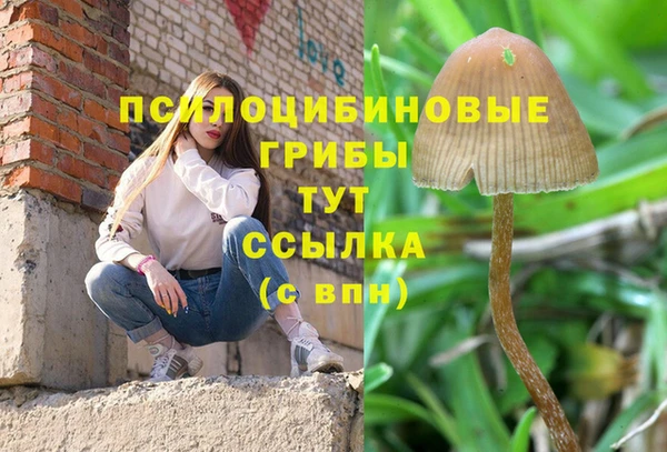 дмт Новозыбков