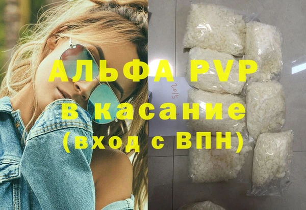 гашик Горняк