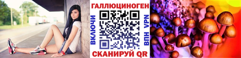 Псилоцибиновые грибы MAGIC MUSHROOMS  нарко площадка какой сайт  Пересвет 